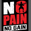 [Giá Xưởng] Tranh Động Lực Treo Tường "No Pain No Gain"