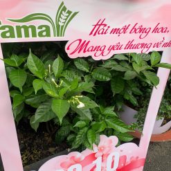 [Xưởng In] khung check in ngoài trời 80x1m2